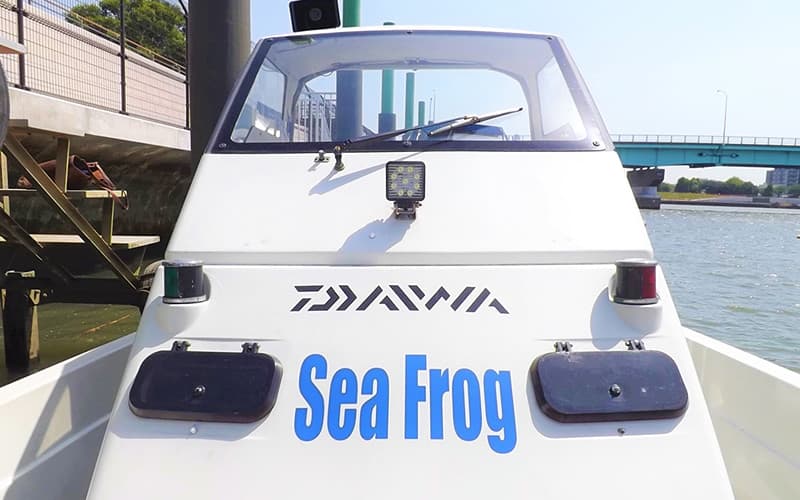 Sea Frog 全体